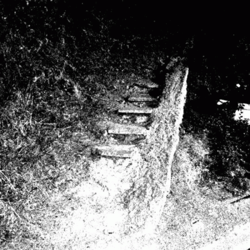 Mnima : The Remains of Human Bones